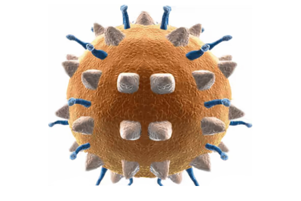 virus vectormune