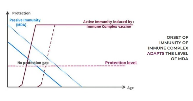 Onset of Immunity-Immune complex vaccines