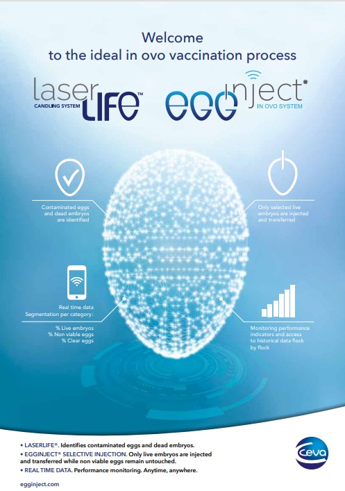 Egginject leaflet