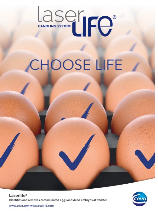 LaserLife brochure