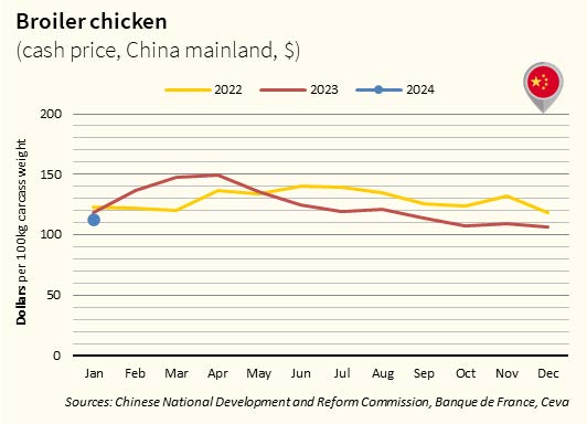 Broiler Chicken cash price_China Mainland in USD - Jan2024