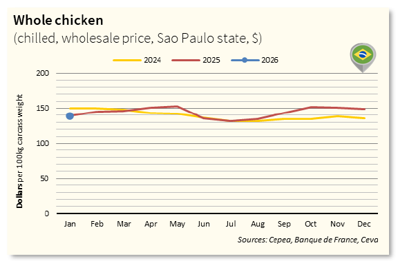 Whole Chicken Market - BR Jan26