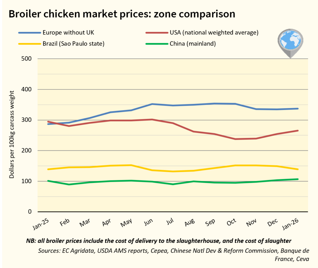 Broiler Chicken Market Prices - Zone comparison Jan26