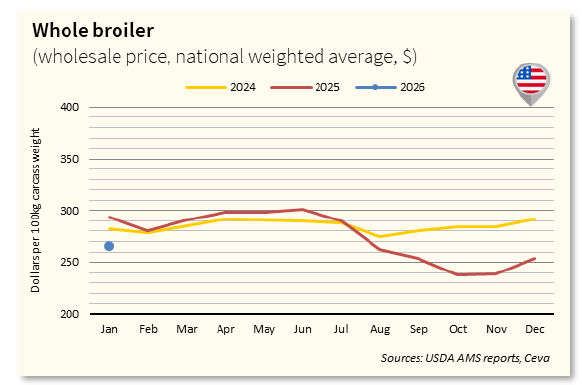 Whole Chicken Market - USA Jan26