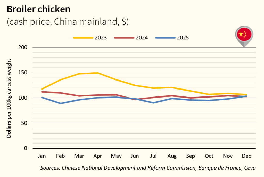 Broiler Market Price - CN_Dec2025