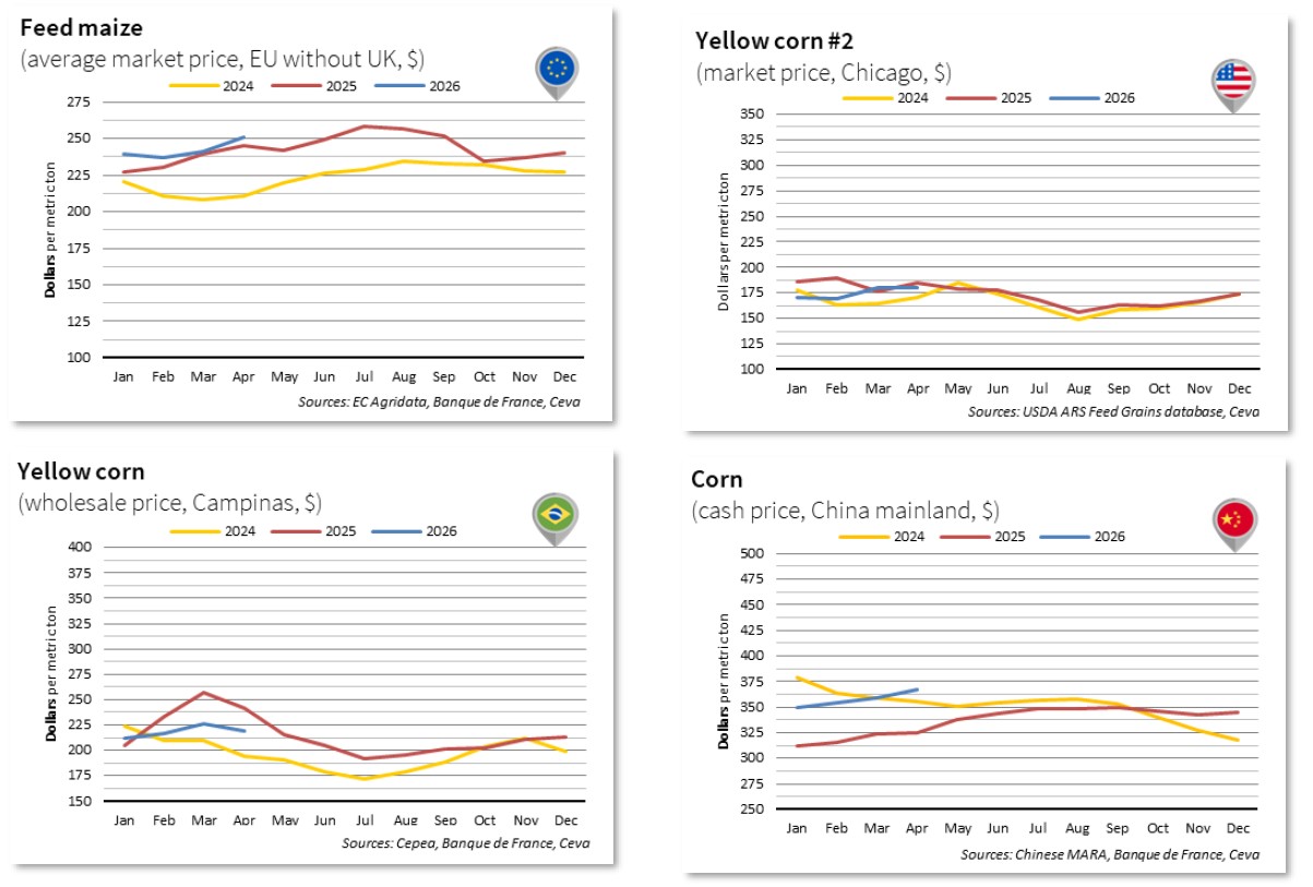 Corn & Feed Apr 2026
