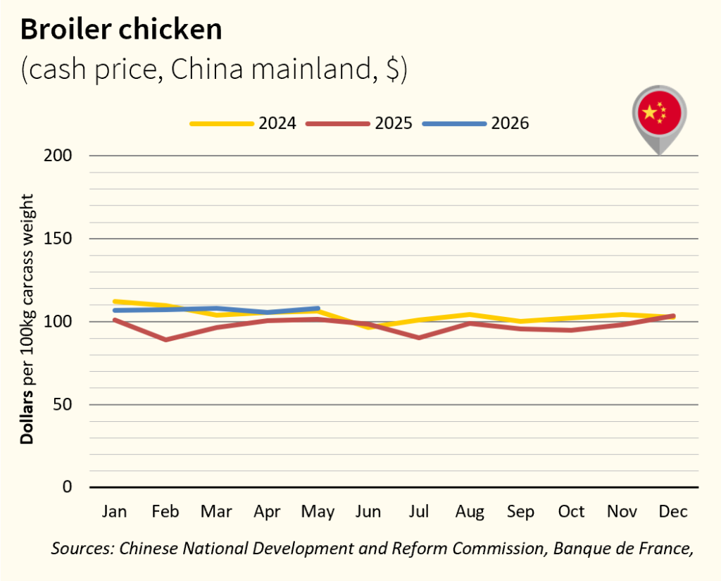 Broiler Chicken prices - China May 26