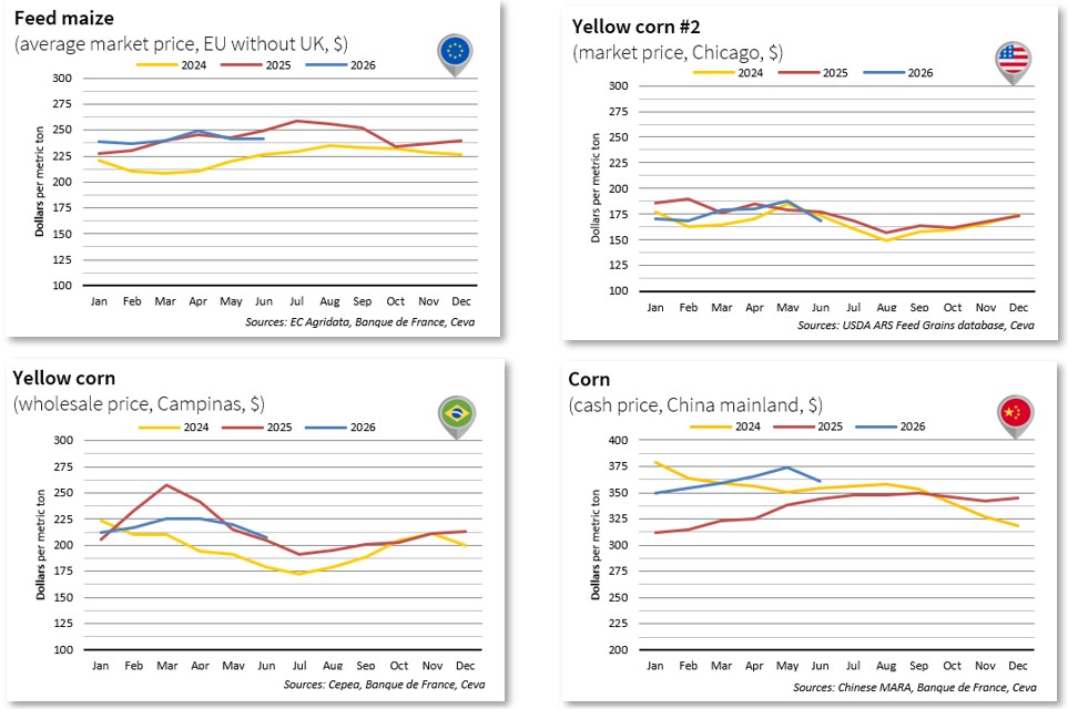 Feed Maize Prices June 2026